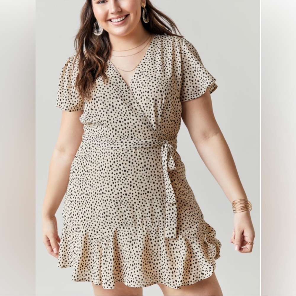 NWT- blue rain Francesca’s short sleeve dress. Size L